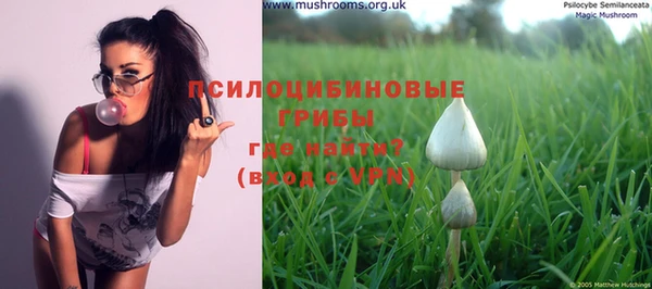 марихуана Белокуриха