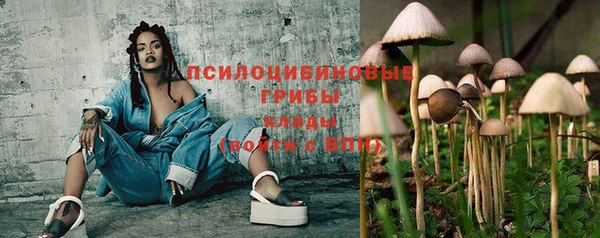 марихуана Белокуриха