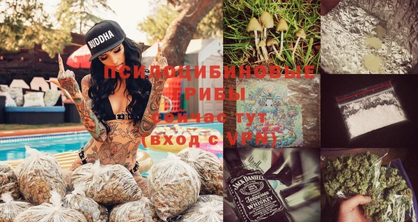 марихуана Белокуриха